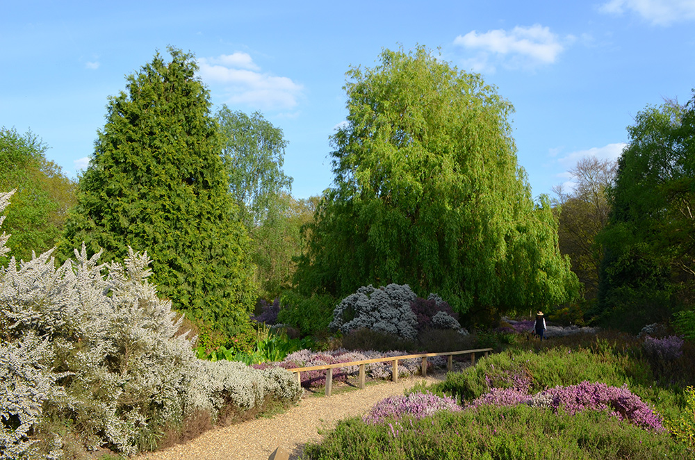 Isabella Plantation jardim em Londres