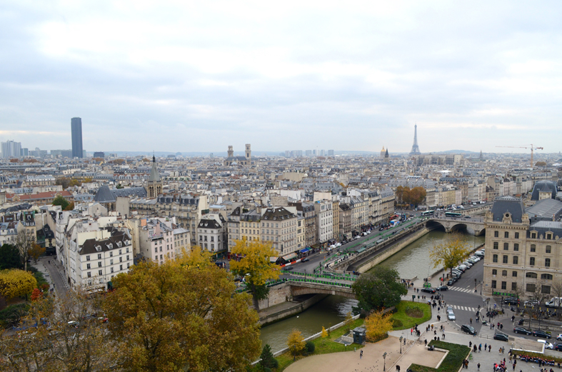 Vista do alto da Catedral de Notre-Dame