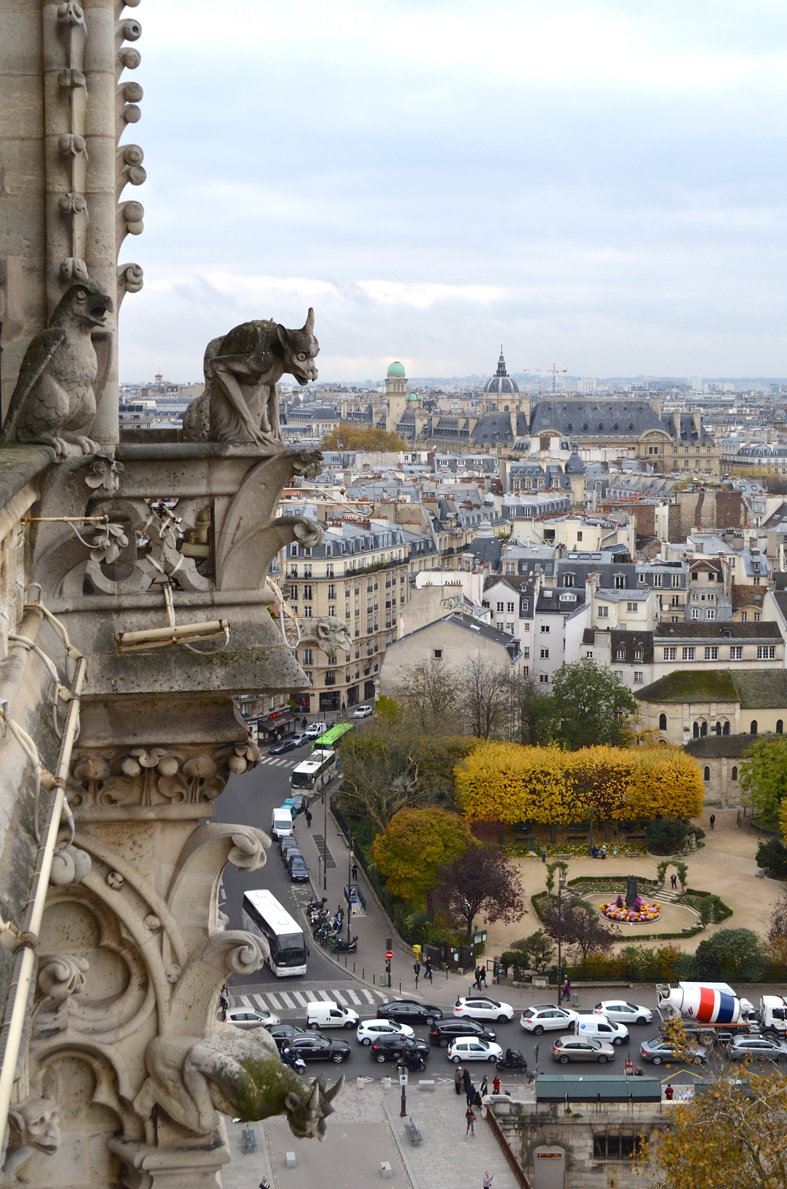 Gárgulas no alto da Catedral de Notre-Dame