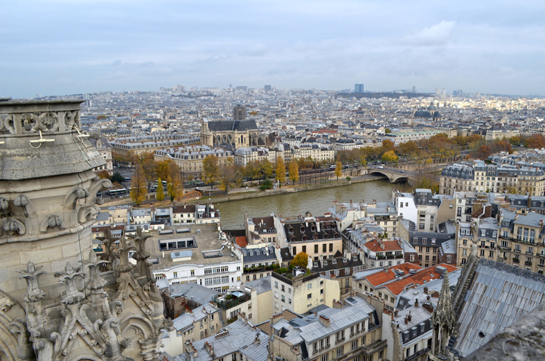 Vista do alto da Catedral de Notre-Dame